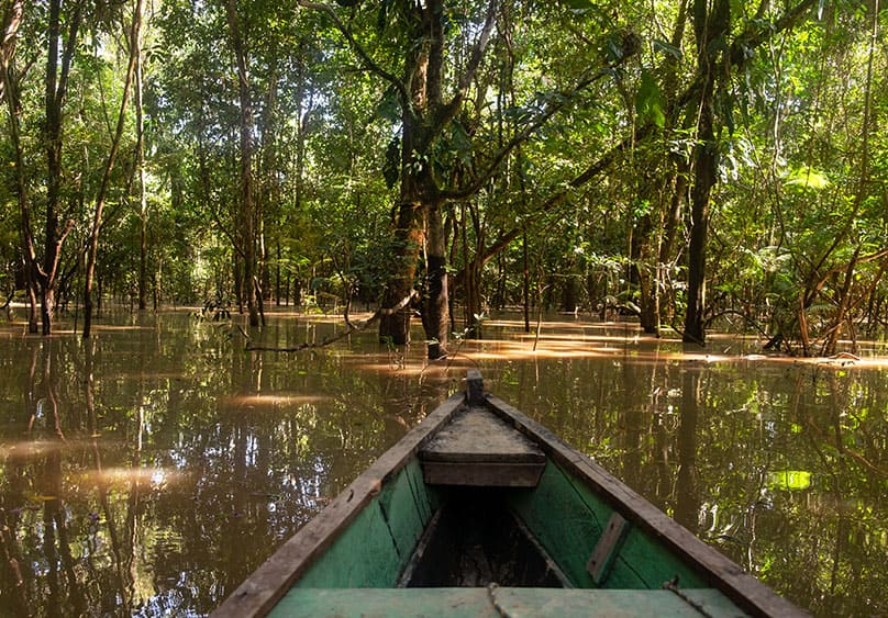 Región Amazónica en Colombia